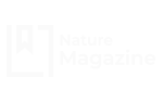 Img20
